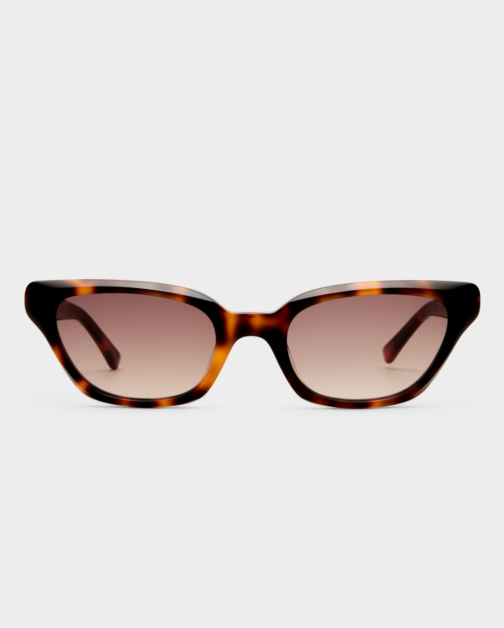 The Drew Tort Female Cat-Eye Sunglasses | Luv Lou