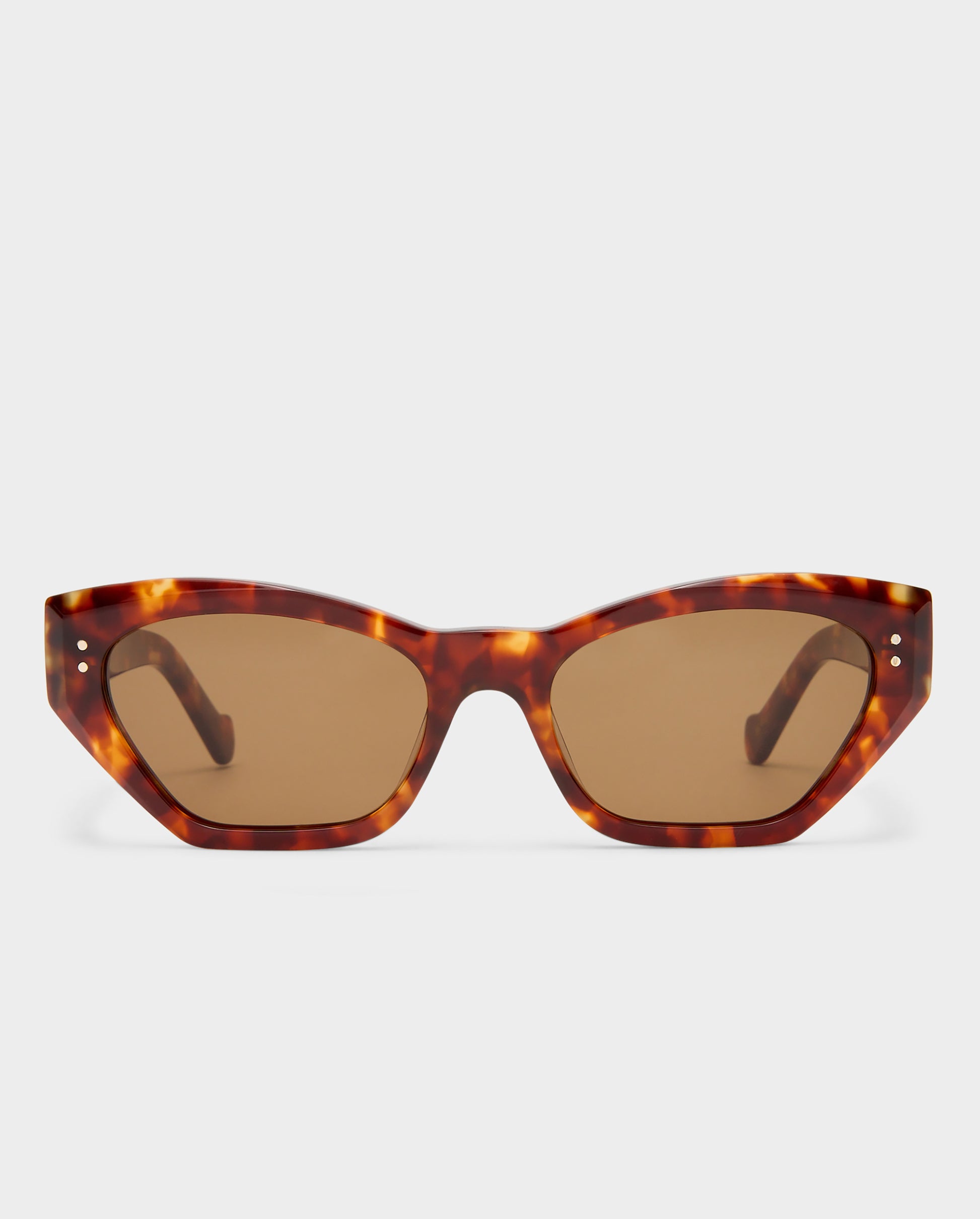 The Sydney Amber Female Cat-Eye Sunglasses | Luv Lou