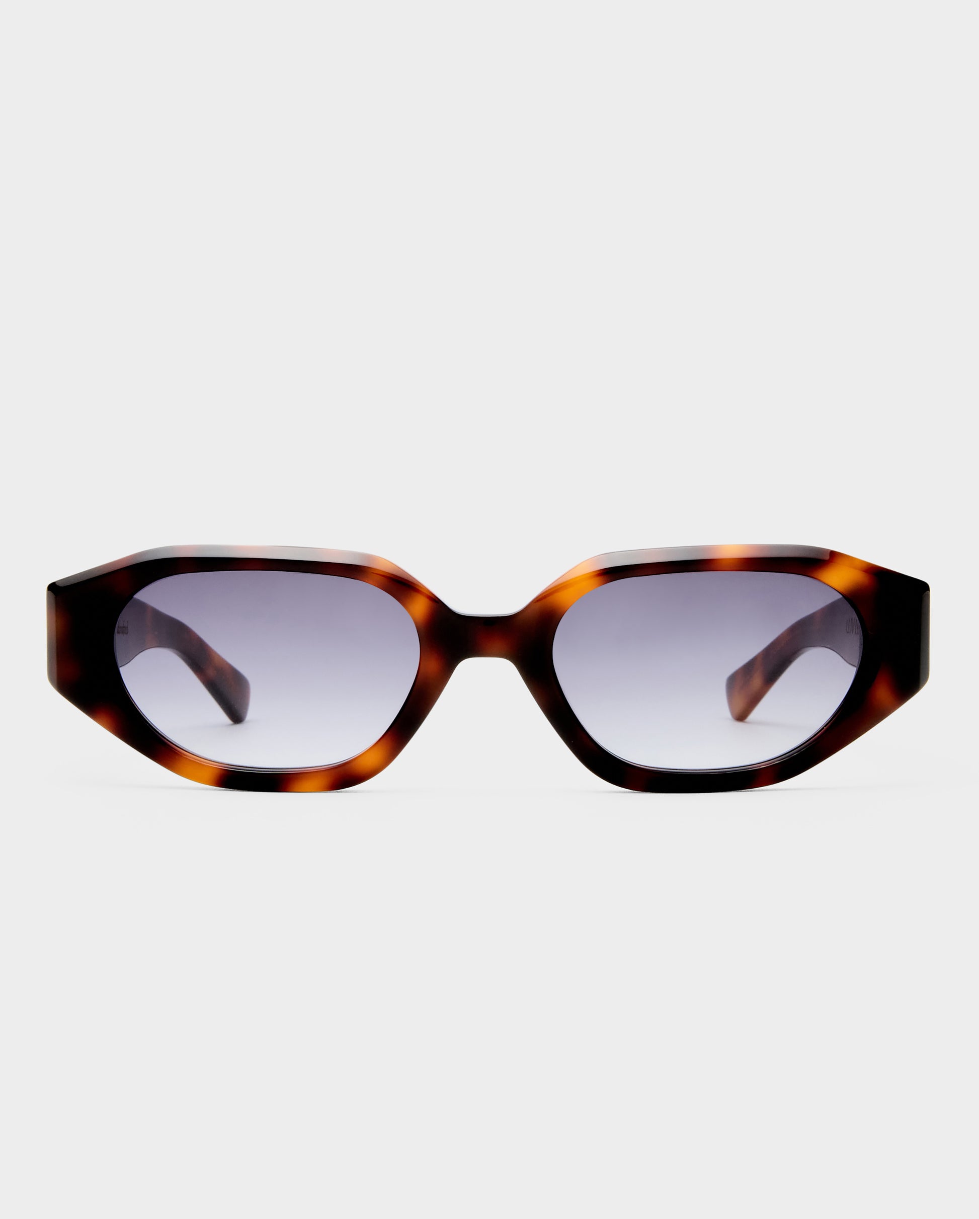 The Freddie Tort Female Oval Sunglasses | Luv Lou